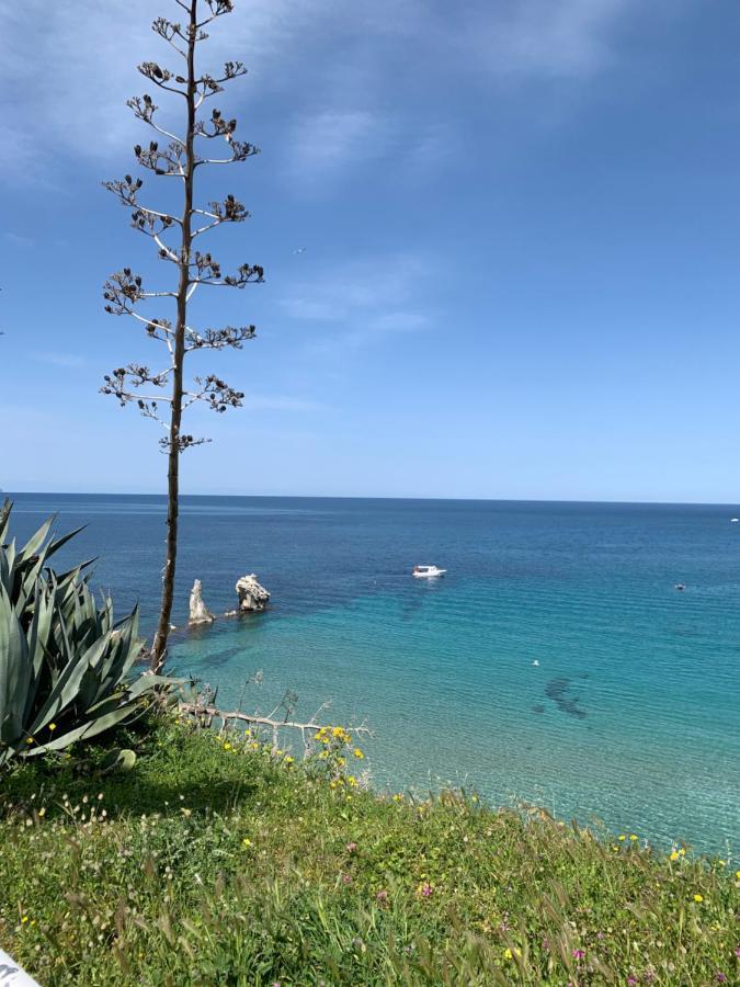 Fiori D'Arancio Apartment Terrasini Luaran gambar